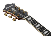 Ibanez PM3C-NAL Pat Metheny Ibanez PM3C-NAL Pat Metheny